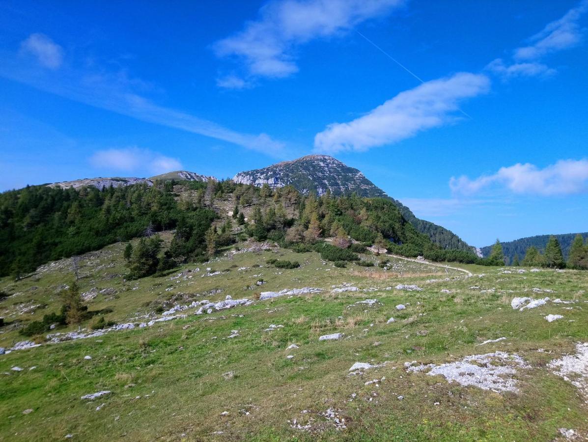 Ferienwohnungen Gerti Klopein am Klopeiner See Exterior foto